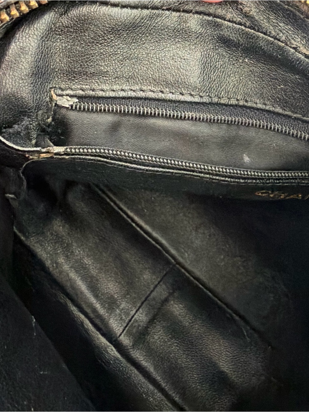 Chanel Black Quilted Lizard Camera Crossbody Bag - Picture 4 of 9